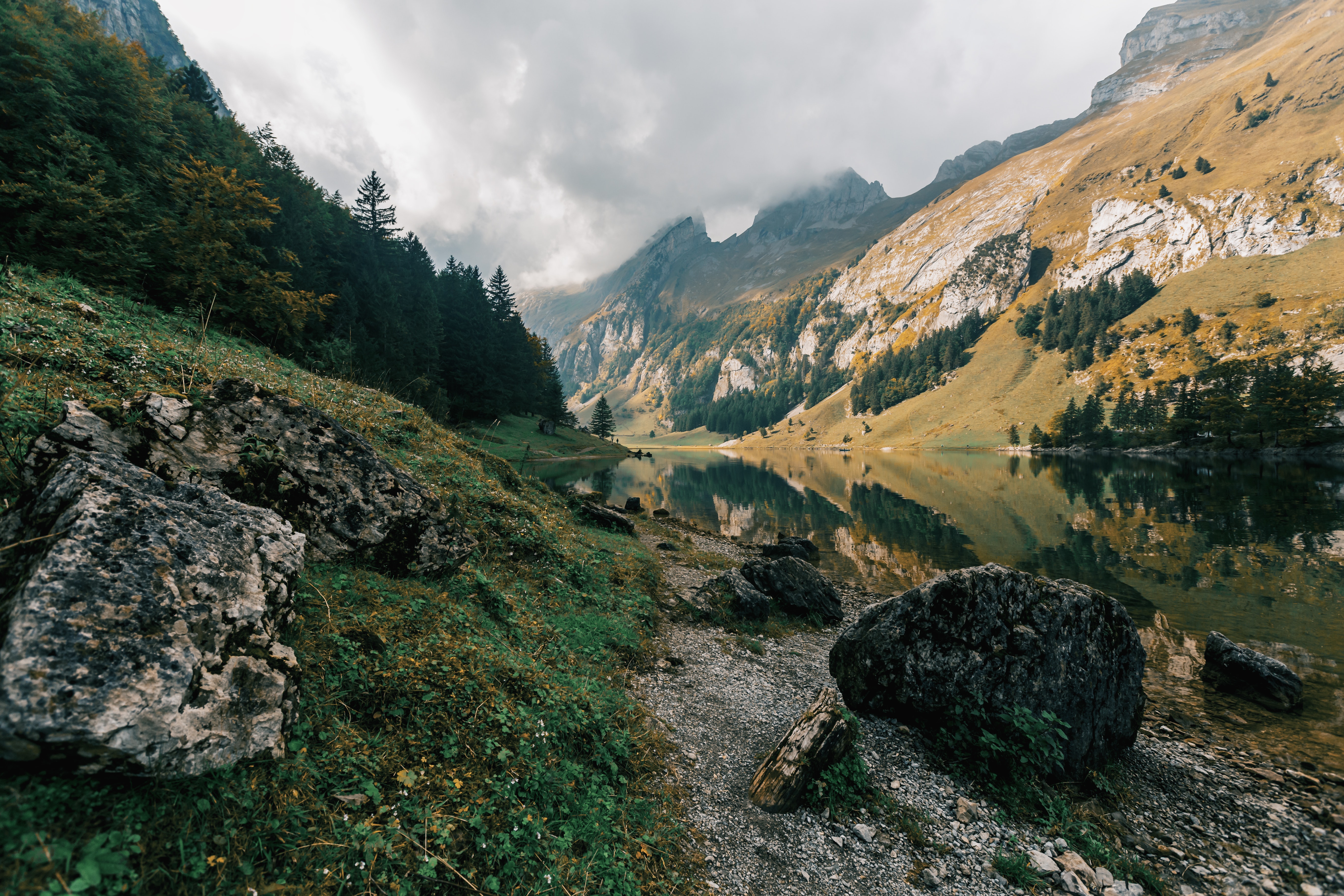 Swiss Countryside
