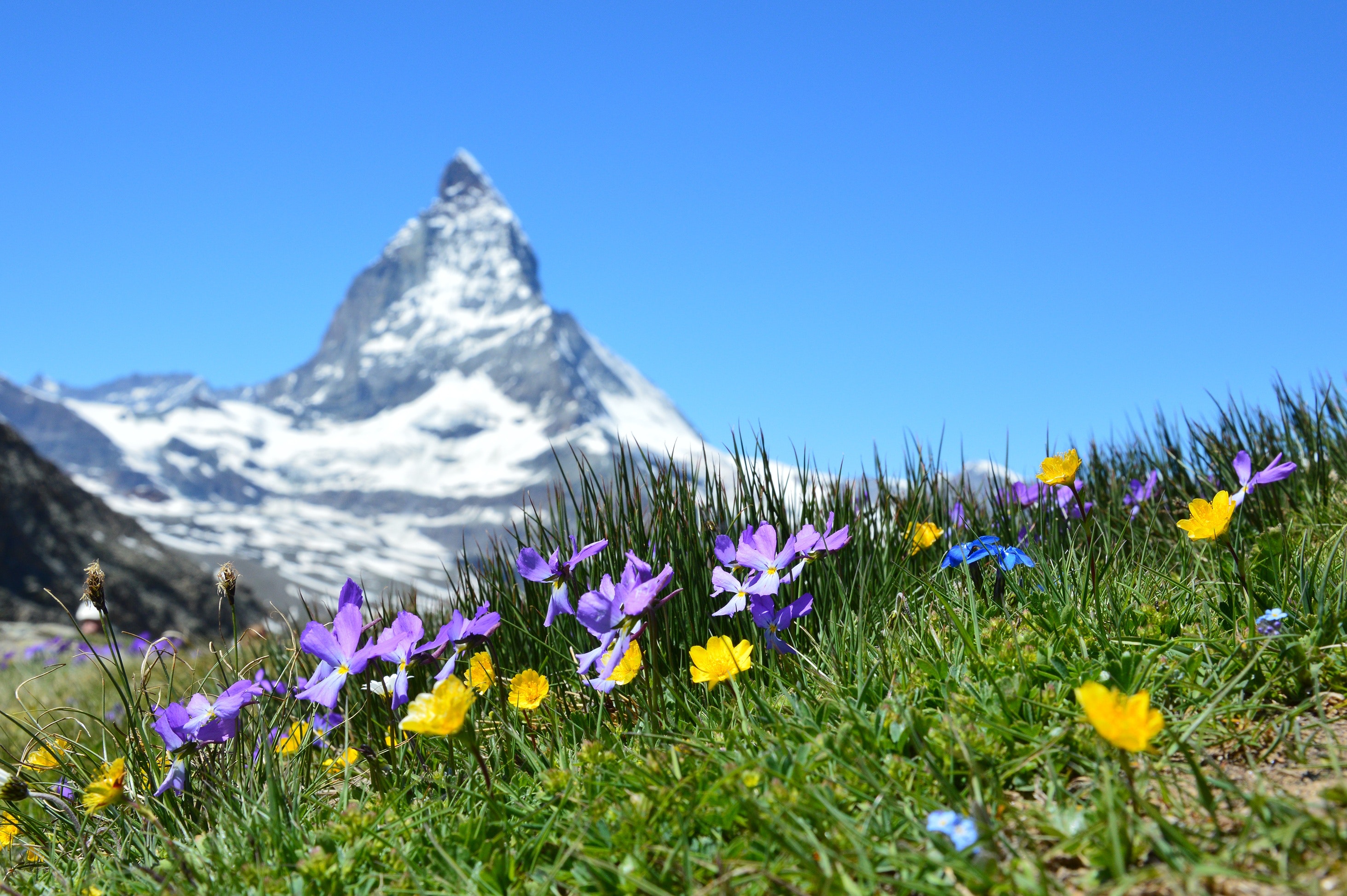 Amazing Alpine Scenery